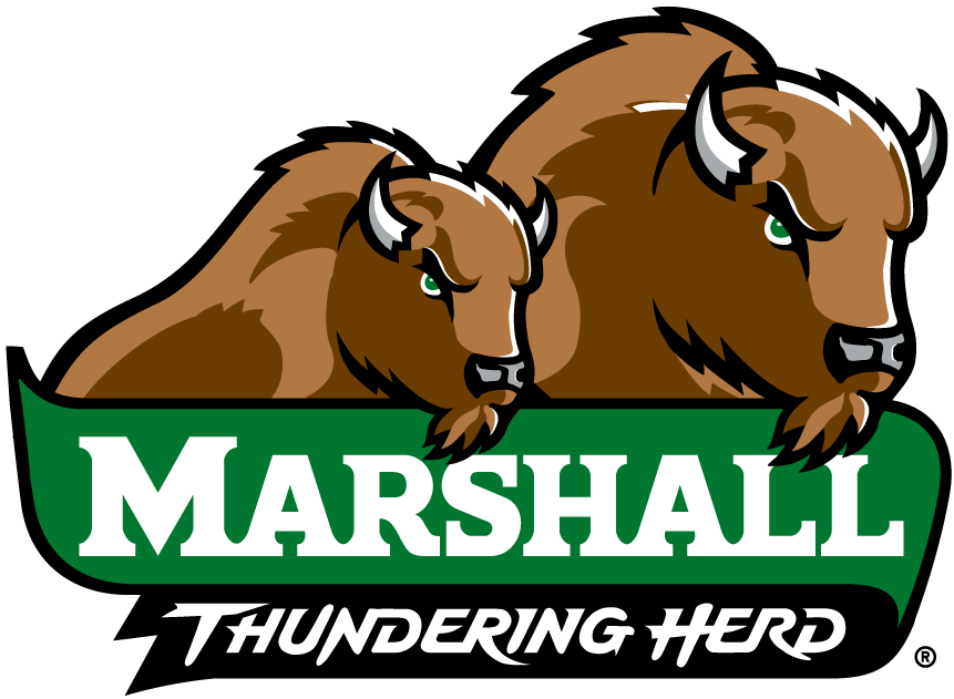 Marshall Thundering Herd 2001-Pres Alternate Logo v4 diy fabric transfer